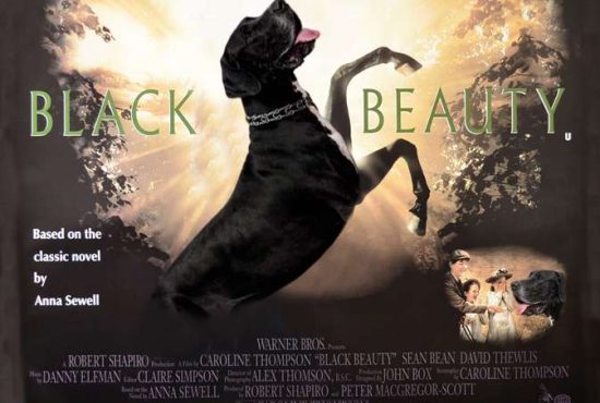 7 câini faimoşi care au câştigat milioane de dolari din filme