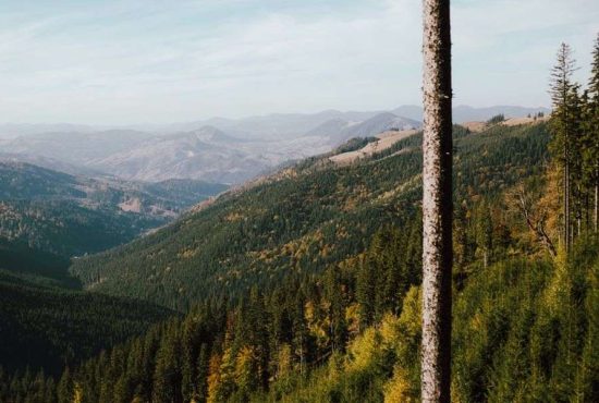 7 lucruri neștiute despre Bucovina