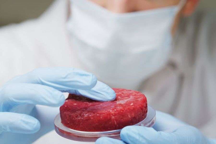 7 lucruri despre carnea artificială