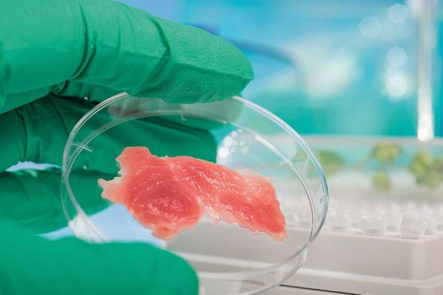 7 delicatese pe care le vom mânca în viitor