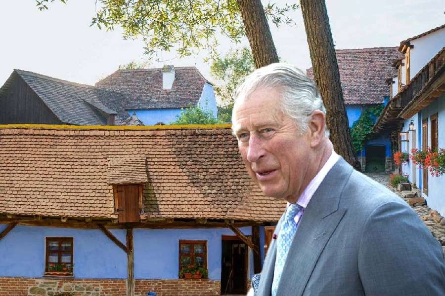 7 lucruri care să ne mai facă să uităm că Regele Charles are cancer
