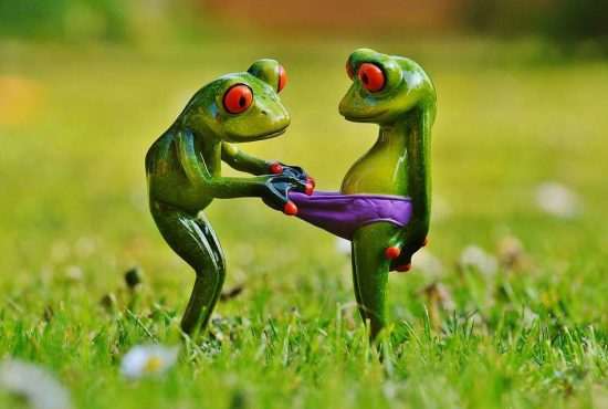 7 lucruri despre lenjeria intimă