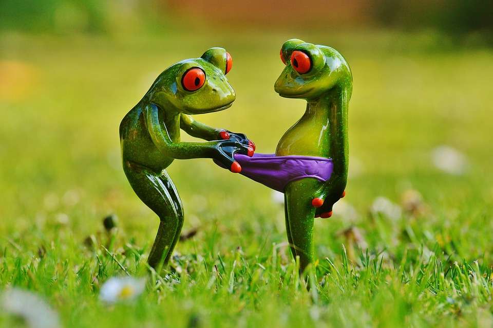 7 lucruri despre lenjeria intimă
