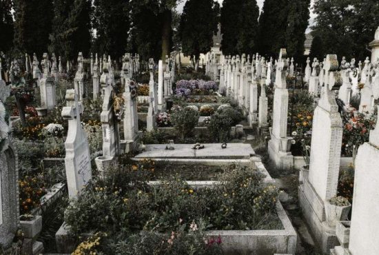 7 lucruri interesante despre cimitire