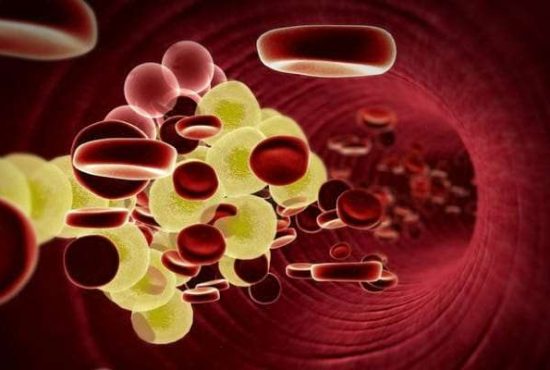 7 lucruri despre colesterolul românilor