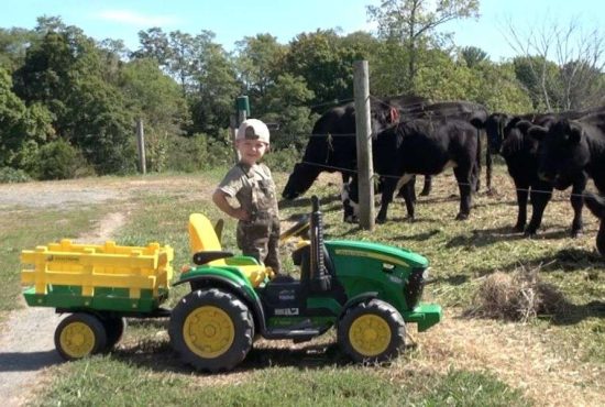 7 indicii că fiul tău ar putea ajunge fermier