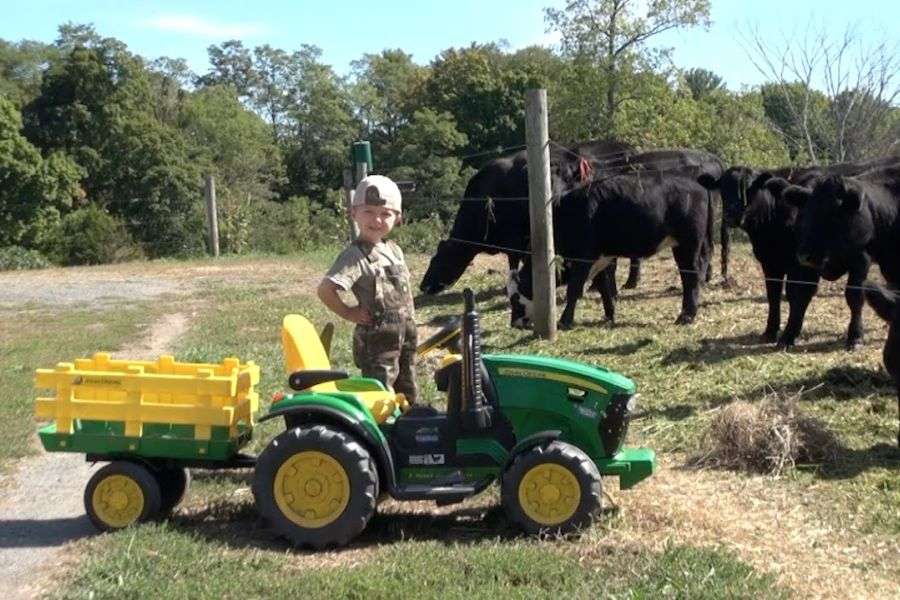 7 indicii că fiul tău ar putea ajunge fermier