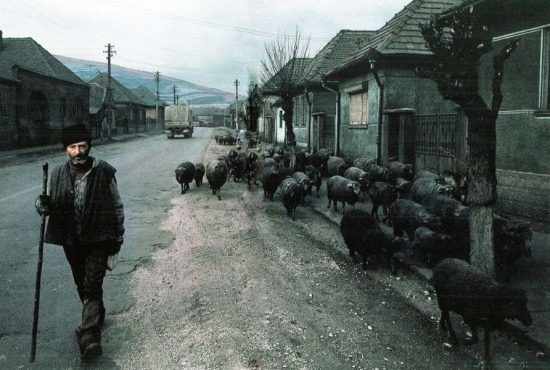 7 lucruri despre Copșa Mică, orașul campion la poluare