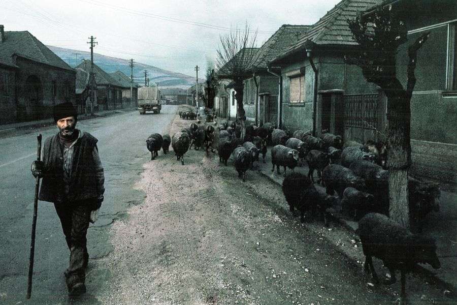 7 lucruri despre Copșa Mică, orașul campion la poluare