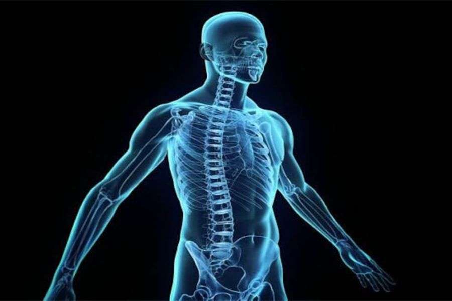 7 lucruri neștiute despre corpul omenesc