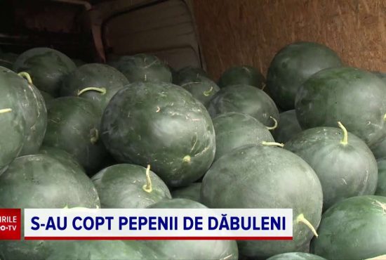 7 lucruri despre capitala mondială a pepenilor, Dăbuleni