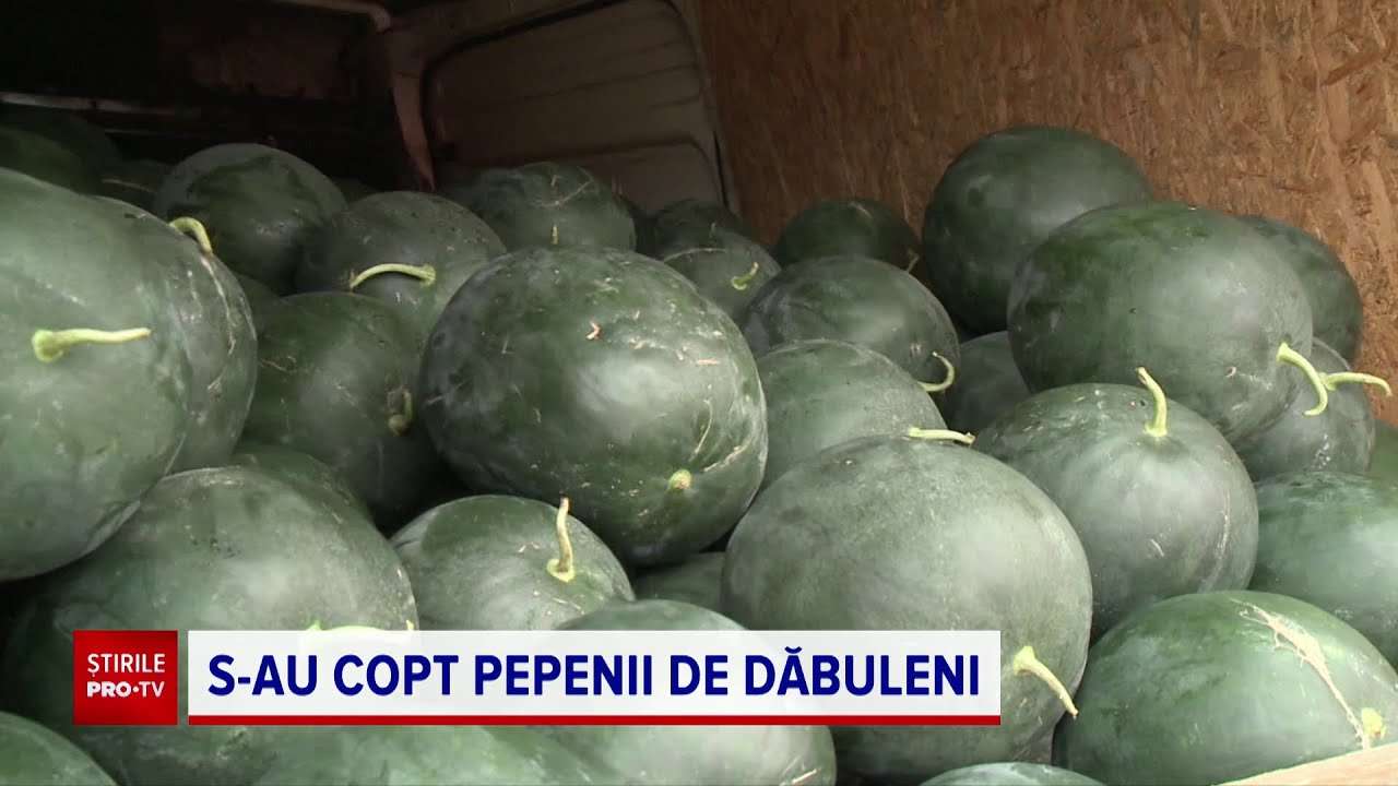 7 lucruri despre capitala mondială a pepenilor, Dăbuleni