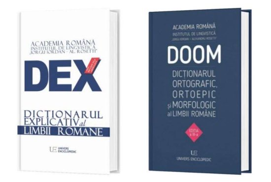 7 lucruri pe care trebuie să le știi despre fundamentaliștii gramaticii