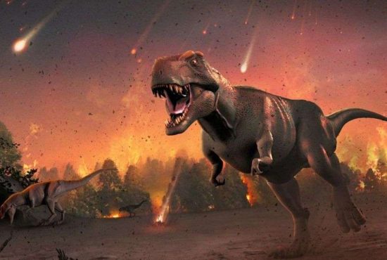 7 explicații posibile pentru dispariția dinozaurilor