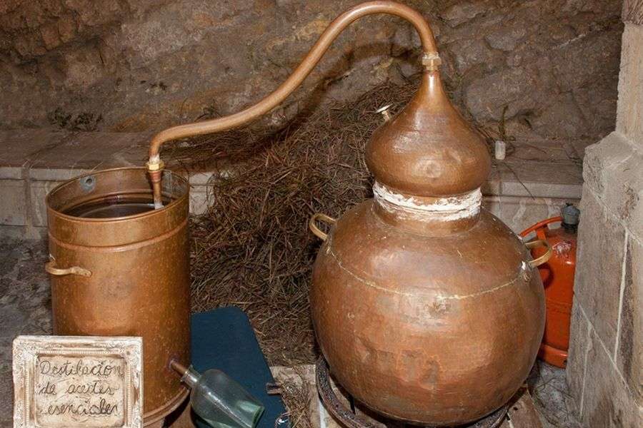 7 lucruri inedite din care românii fac alcool