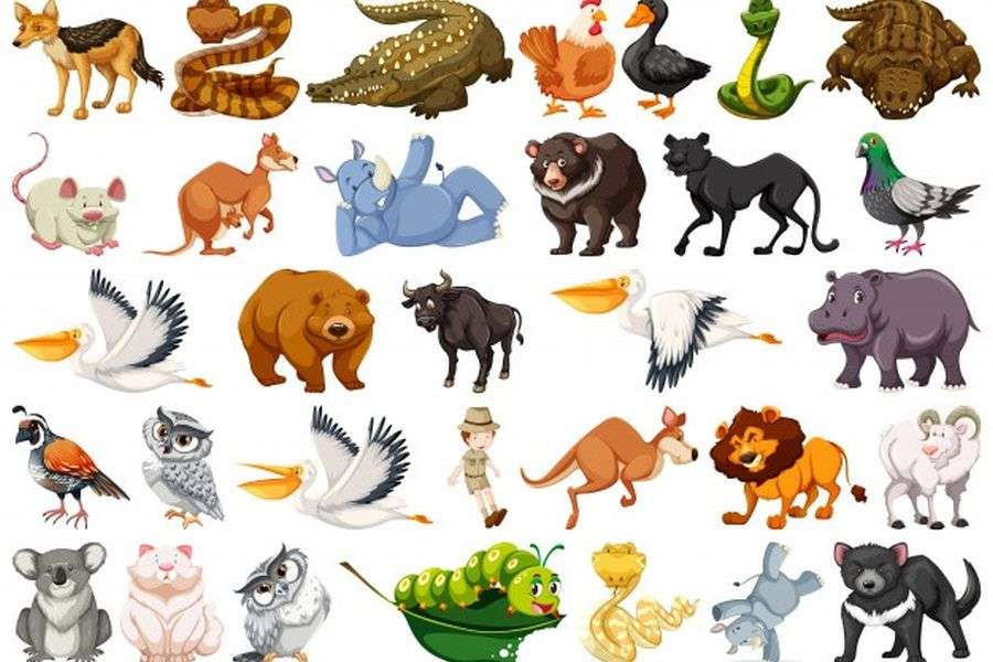 7 animale periculoase de pe teritoriul României