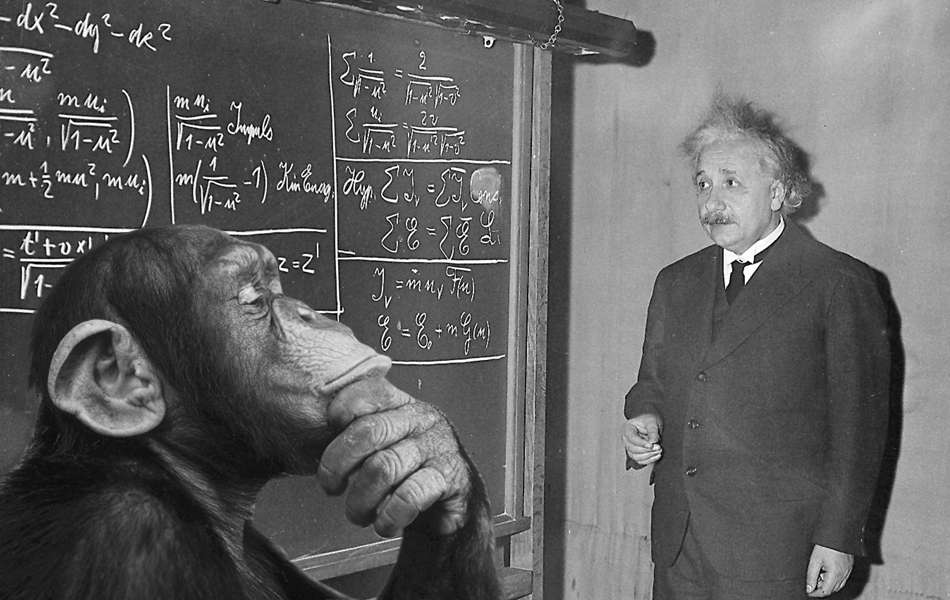 7 animale celebre de care probabil n-ai auzit până acum