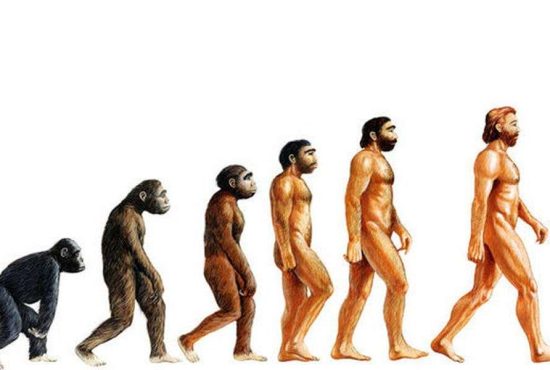 7 momente importante din preistoria omenirii