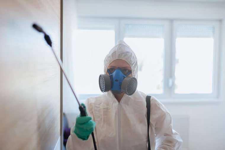 7 metode eficiente prin care poți scăpa de gândaci