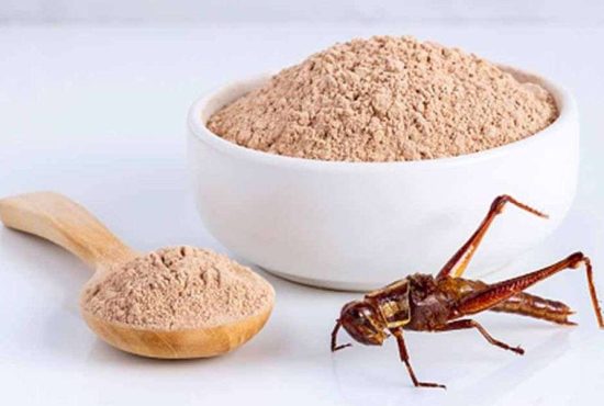 7 avantaje ale făinii din greieri