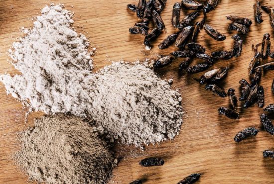 7 dezavantaje ale făinii din greieri