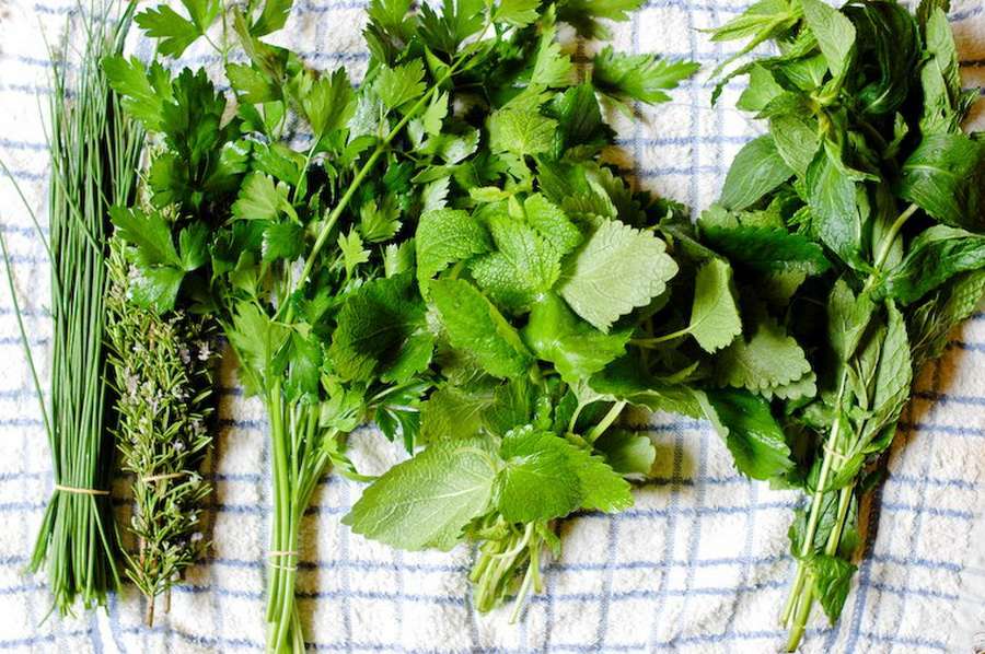 7 lucruri pe care nu le ştiai despre verdeaţă