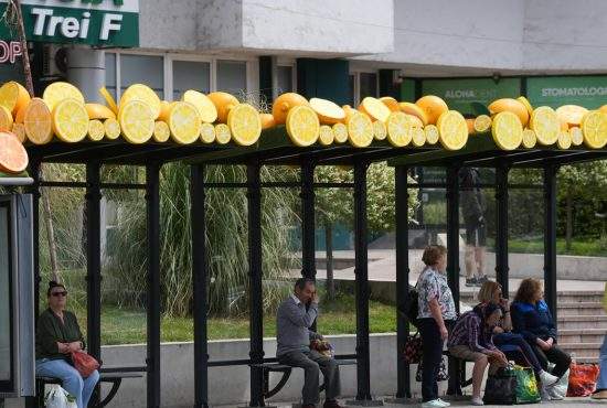 Olguţa explică de ce a pus fructe pe staţiile de autobuz: „Dacă puneam praz, îl mâncau”