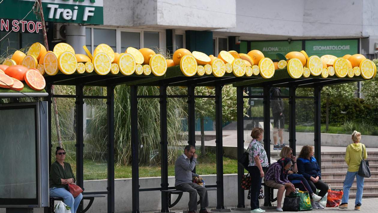 Olguţa explică de ce a pus fructe pe staţiile de autobuz: „Dacă puneam praz, îl mâncau”