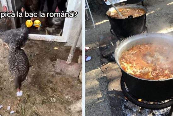 Găina care a ghicit subiectul la BAC, făcută ciorbă după ce n-a vrut să şoptească şi rezolvarea