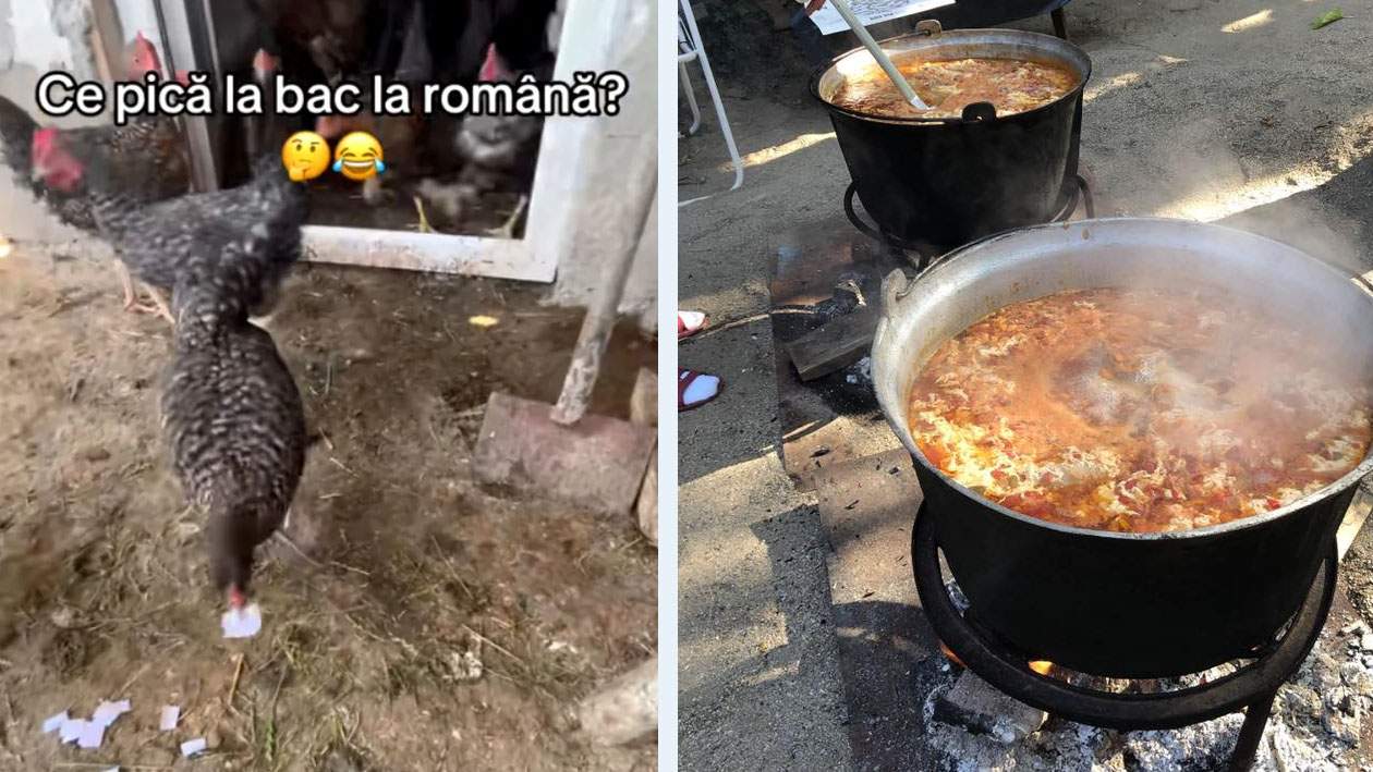 Găina care a ghicit subiectul la BAC, făcută ciorbă după ce n-a vrut să şoptească şi rezolvarea