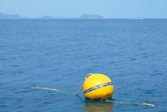 7 lucruri interesante despre geamanduri