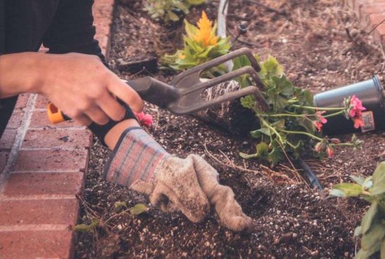 7 ustensile absolut necesare pentru grădinărit