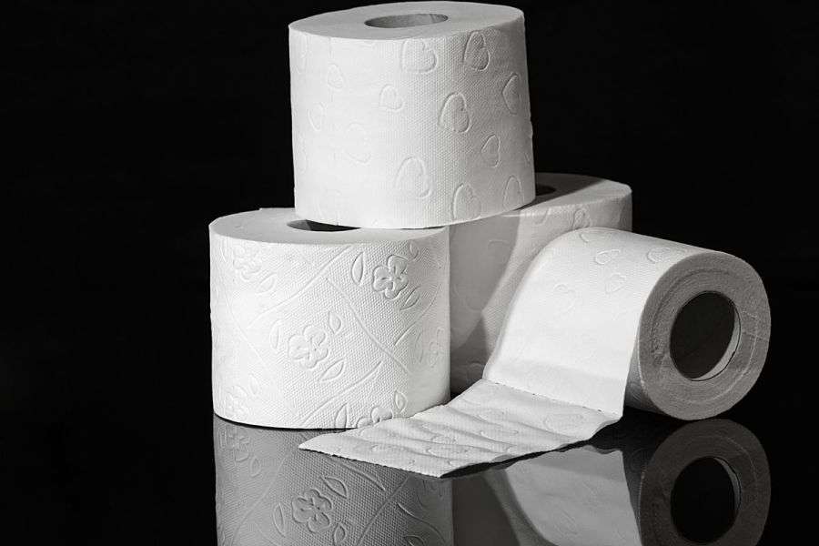 7 lucruri despre cum arăta lumea înainte de descoperirea hârtiei igienice