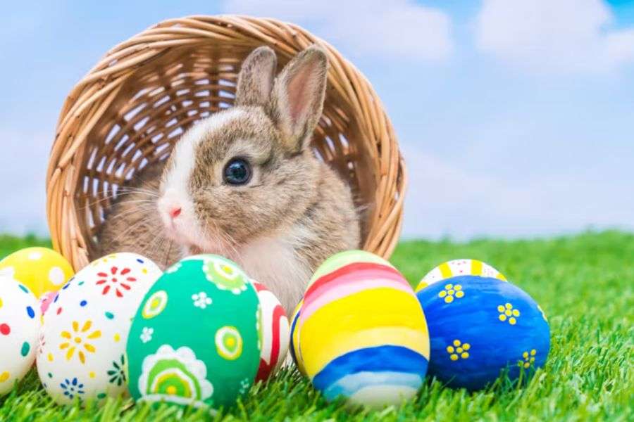 7 lucruri pe care poţi să le faci cu tot drobul rămas de la Paşti
