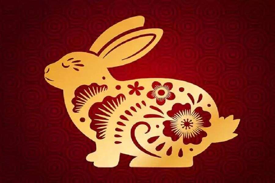 7 lucruri despre 2023, anul Iepurelui de Apă în zodiacul chinezesc