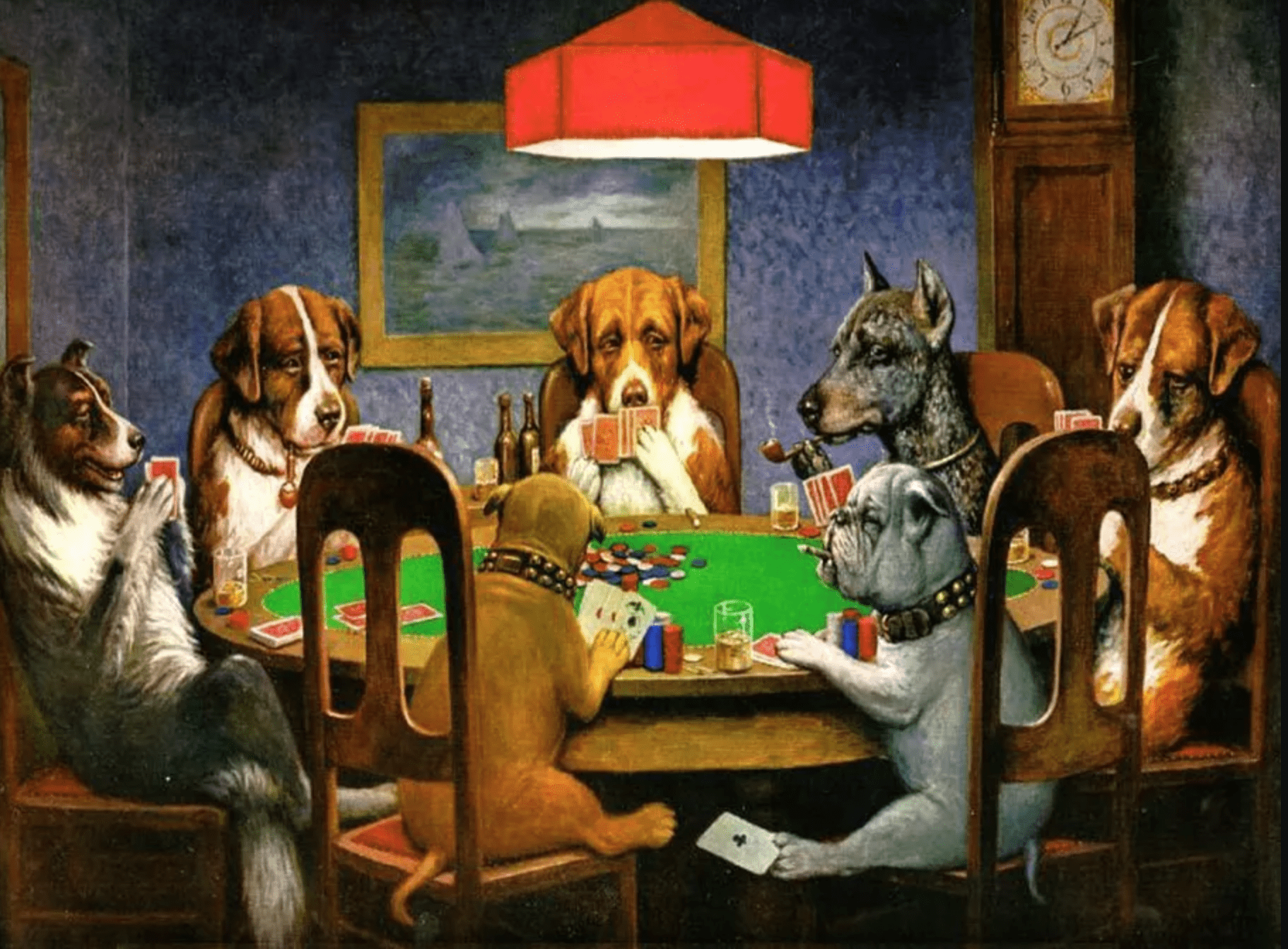 7 lucruri despre jucătorii de poker