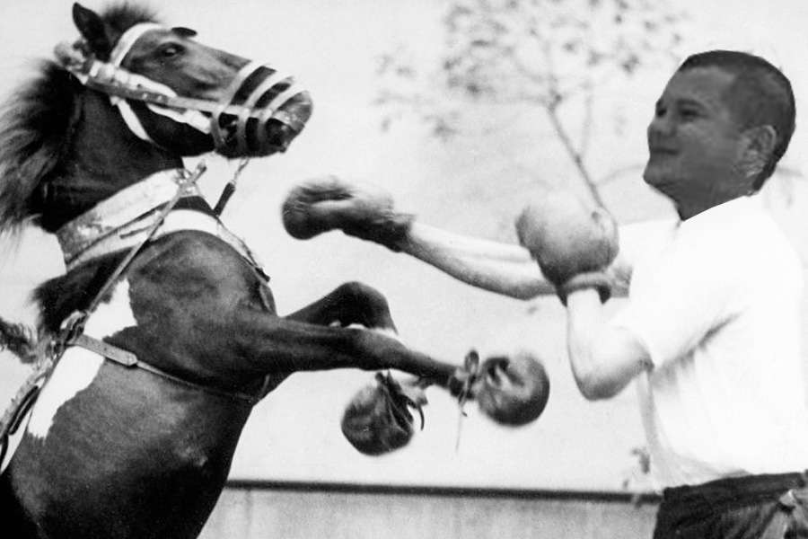 7 motive pentru care nu e bine să-ți bați calul