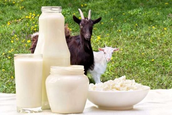 7 beneficii ale laptelui de capră