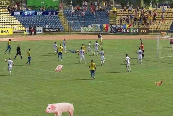 7 indicii că fiul tău ar putea ajunge fotbalist în Liga I