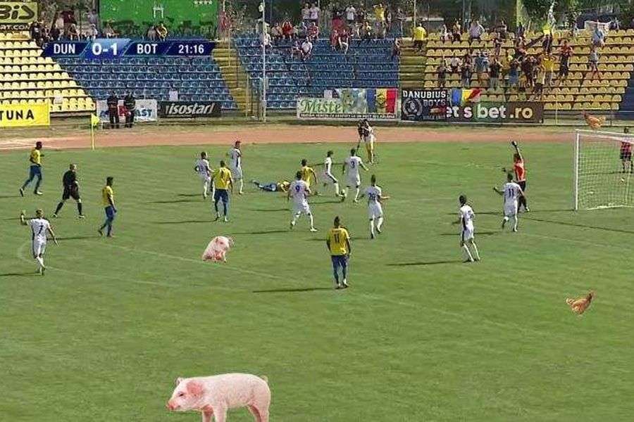 7 indicii că fiul tău ar putea ajunge fotbalist în Liga I