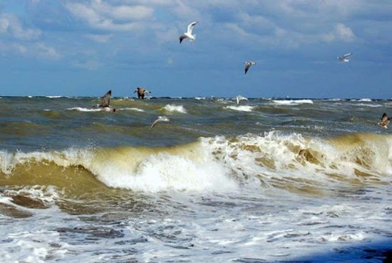 7 pericole care pândesc în Marea Neagră