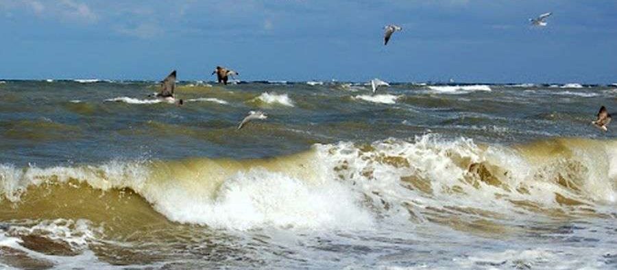 După Vidraru și Paltinu, Marea Neagră va fi golită pentru lucrări de întreținere