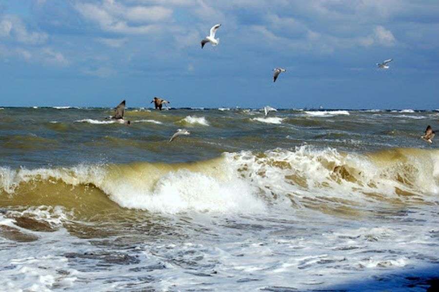 7 pericole care pândesc în Marea Neagră