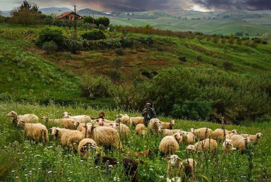 Adevăratele 7 mituri fundamentale ale poporului român