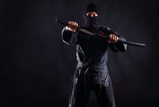 7 secrete ale temuţilor ninja