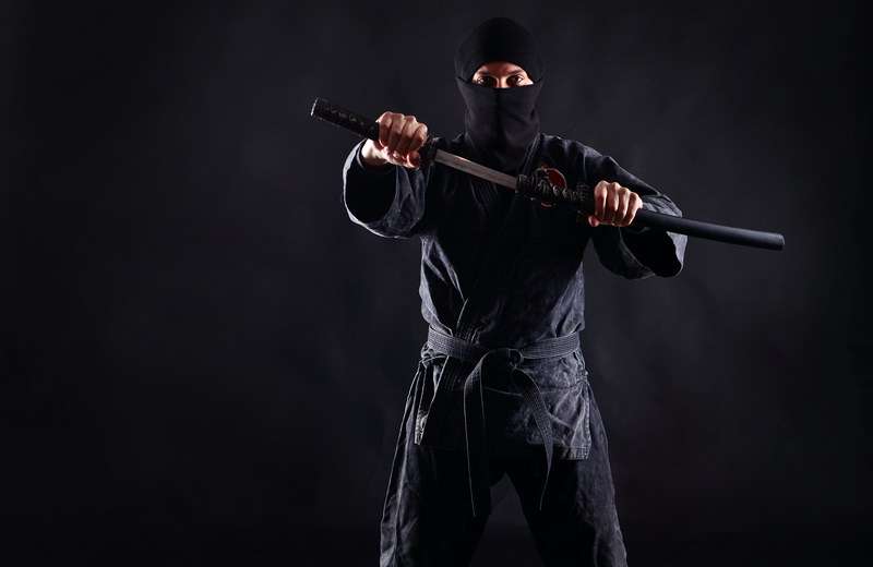 7 secrete ale temuţilor ninja