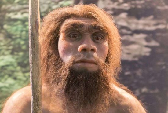 7 lucruri probabil reale despre omul de Neanderthal