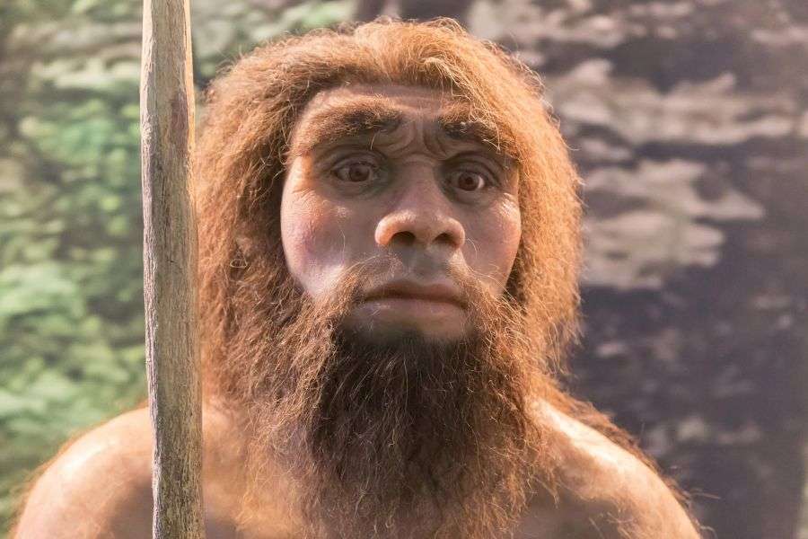 7 lucruri probabil reale despre omul de Neanderthal
