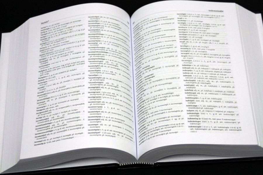 7 cuvinte cu definiții controversate în limba română