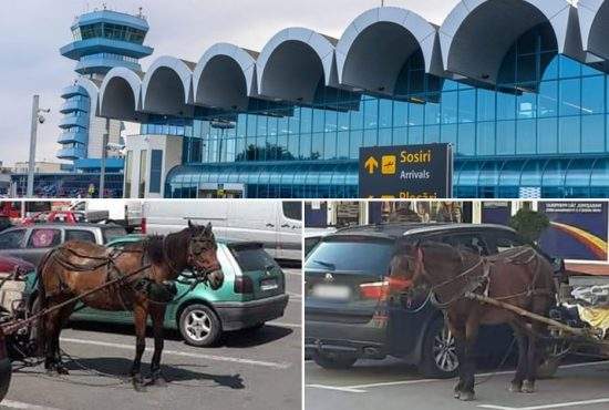 Aeroportul Otopeni va avea parcare long term de căruțe, cu iesle pentru cai